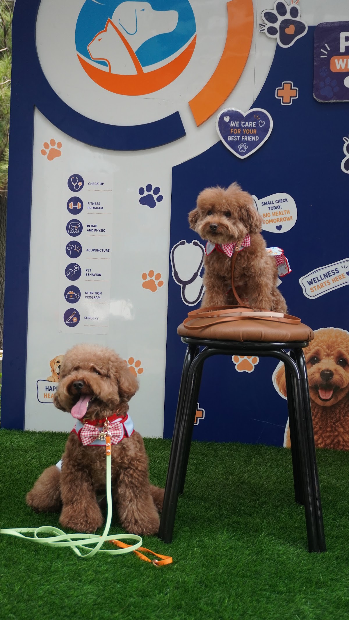 Two dogs at our community titer event